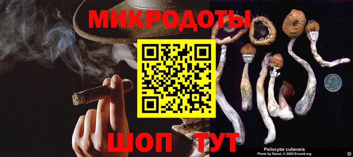 Псилоцибиновые грибы MAGIC MUSHROOMS Учалы