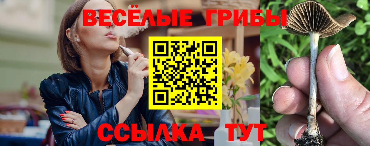 купить   Псилоцибиновые грибы Cubensis  Вход с VPN  Учалы 
